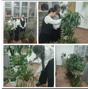 Жасыл клуб мүшелерінің жұмысы